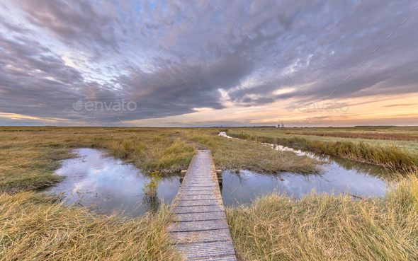Boardwalk in Tidal Marshland nature reserve Saeftinghe - Stock Photo - Images