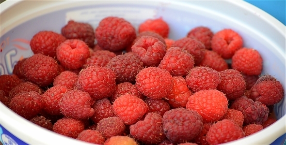 Fresh Raspberries