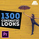LUTs Color Presets Pack | Cinematic Looks - Premiere Pro - VideoHive Item for Sale