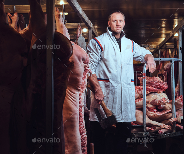 The butcher dressed in a white kitchen robe works in a meat freezer storage factory.