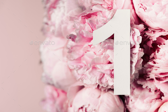 Creative layout. Pink peony flowers and digit one 1. Birthday greeting card. Anniversary concept