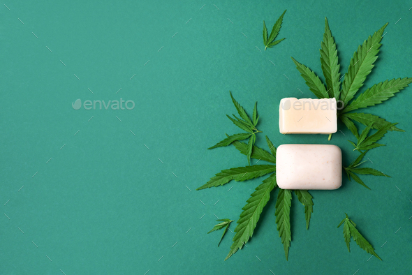 Natural handmade hemp soap bars with cannabis leaves on green background.  Top view. Copy space Stock Photo by jchizhe