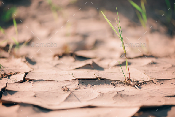 Water crisis. Cracked earth. Global warming problem. Dry land ground. Desert concept. Cracked soil
