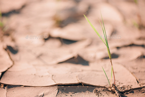 Dry land ground. Global warming problem. Desert concept. Cracked soil caused by dehydration. Water