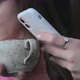 Close Up of Young Woman Using White Smart Phone and Holding Cup of Coffee - VideoHive Item for Sale