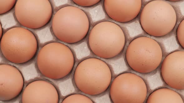 Chicken egg, rotation shot, chicken eggs in carton pack, Top view, Egg production concept.
