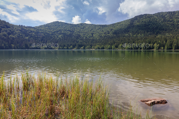 Saint Ana volcanic lake in Romania - Stock Photo - Images