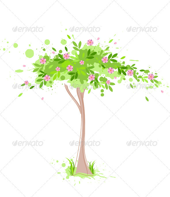Green Spring Tree - Flowers & Plants Nature