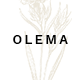 Olema - Creative Agency Theme