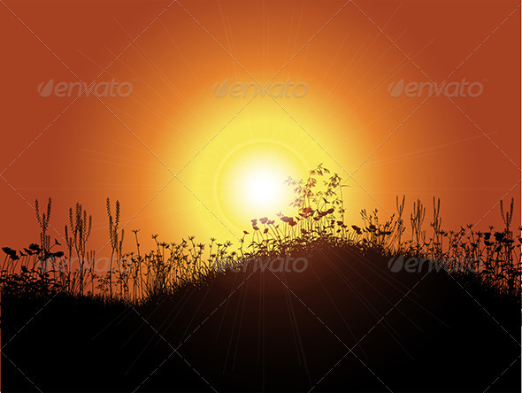 Sunset background - Flowers & Plants Nature