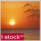 Sunset Sea View Pack 8 (6-Pack) - VideoHive Item for Sale