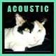 Inspiring Acoustic Folk