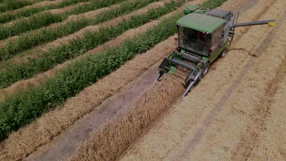 Slow Motion Aerial Shot of Modern Small Harvester Machine is Operating in the Field on Breeding alt