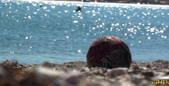Ball At The Beach