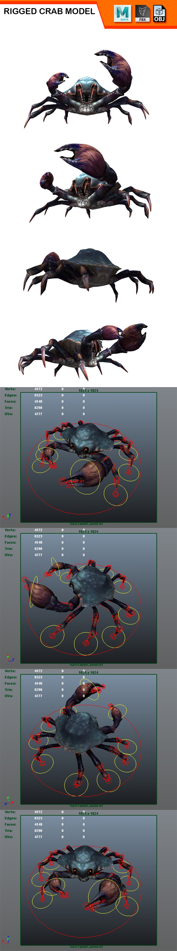 Rigged Crab Model - 3Docean 28405666