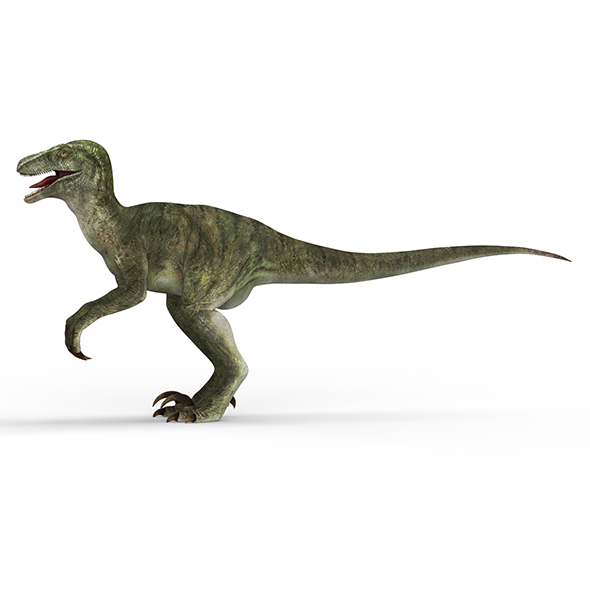 Velociraptor Dinosaur - 3Docean 28407079