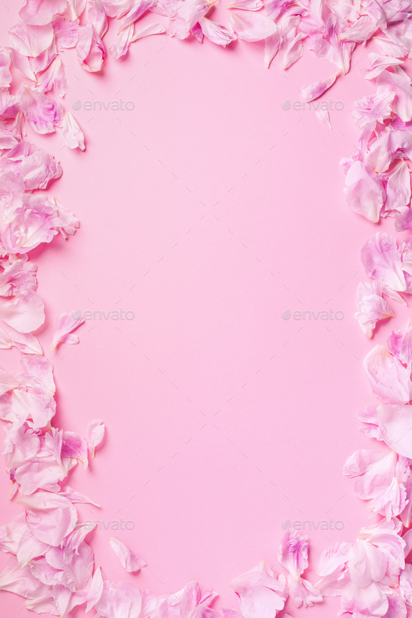 Pink background with peony petals. Top view. Floral print. Abstract blooming texture. Spring concept.