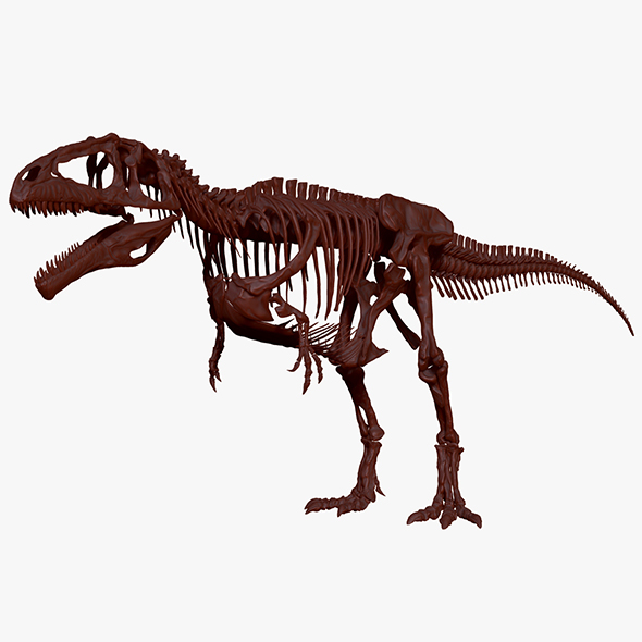 Giganotosaururs Full Skeletons - 3Docean 28425844