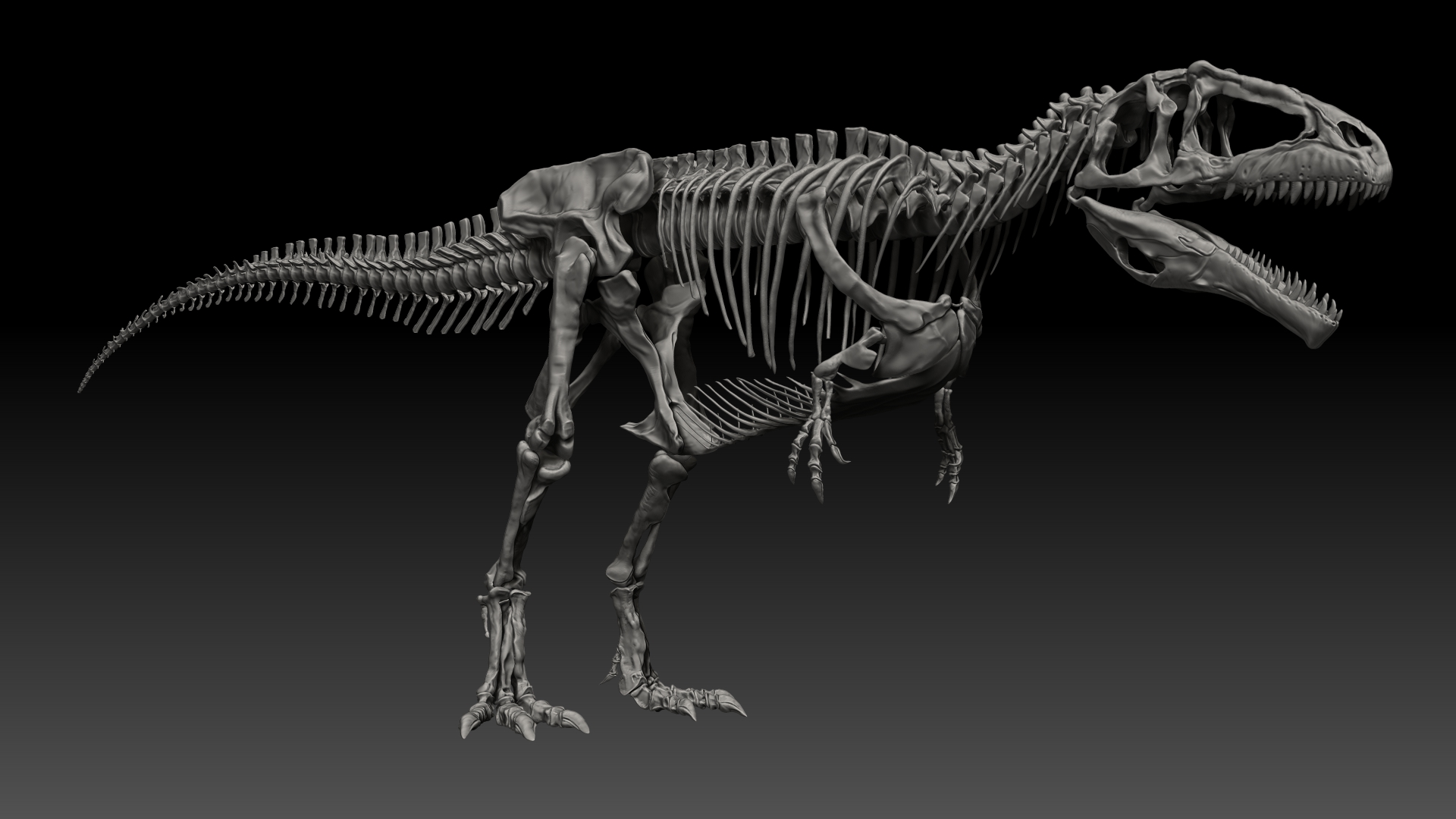 Giganotosaururs Full Skeletons Sculpt Project by Racksuz | 3DOcean