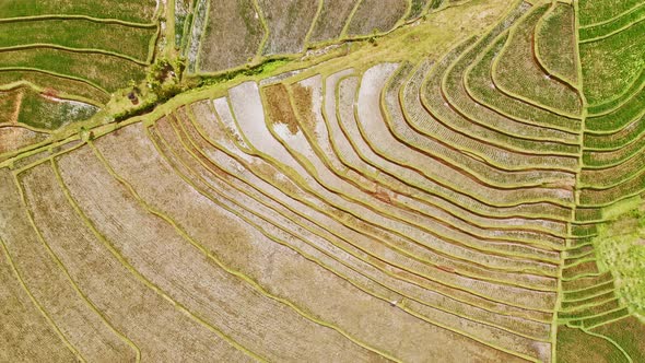 Intricate Terraces Design alt