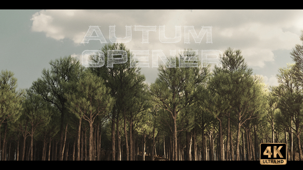 Autum Forest