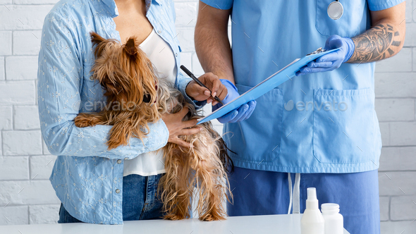 Closeup view of client with cute dog signing pet insurance policy at veterinarian clinic, panorama