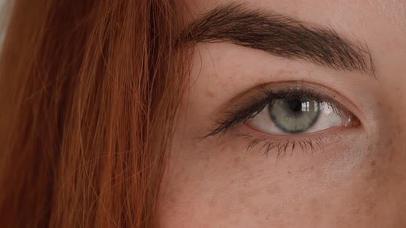 Eye. Portrait of lovely young red hair female student standing in library attractive student smiling alt