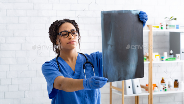 Serious black vet doctor studying animal xray at medical office