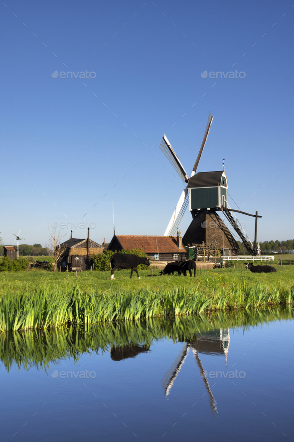 The Wingerdse Molen - Stock Photo - Images