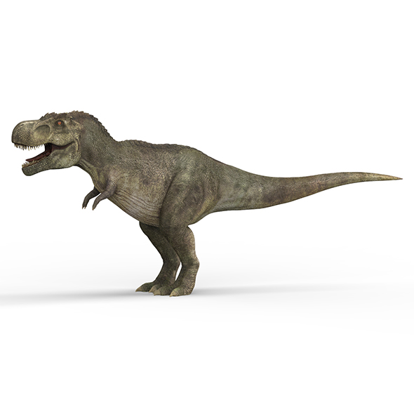 Tyrannosaurus Dinosaur - 3Docean 28474682