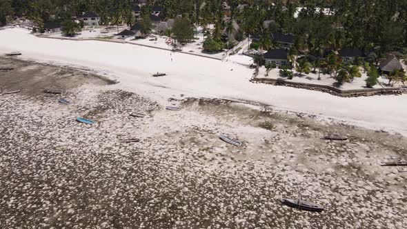 Zanzibar Tanzania  Low Tide in the Ocean Near the Shore alt