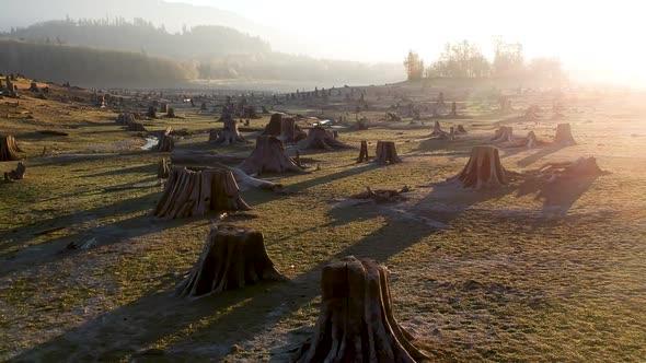 Aerial drone footage towards the end of summer at Alder Lake in Washington State USA.  Here we see a alt
