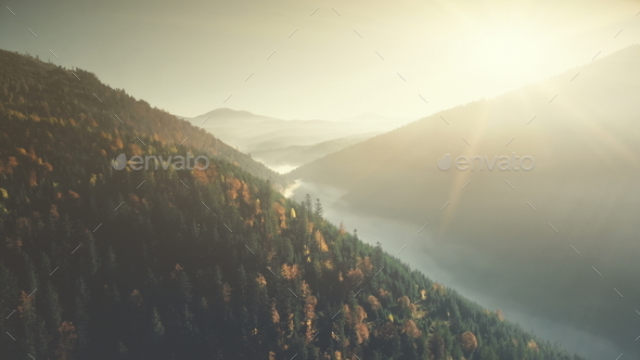 Multicolored Highland Forest Fog Slope Aerial View. Wild Nature Habitat Misty Evergreen Coniferous Cliff Forestry Overview. Tranquil Beauty Scenery Clean Ecology Concept Drone Flight