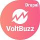 VoltBuzz - SEO & Marketing Agency Drupal 9 Theme