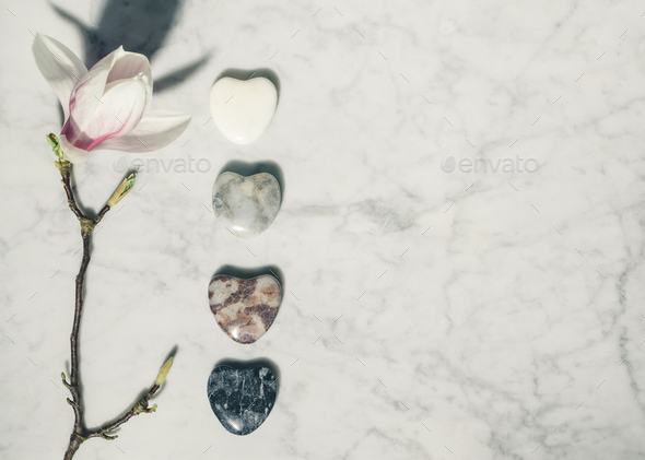 beautiful spring magnolia flowers and grey stones - Stock Photo - Images