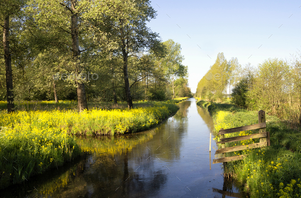 Canal in the Alblasserbos - Stock Photo - Images