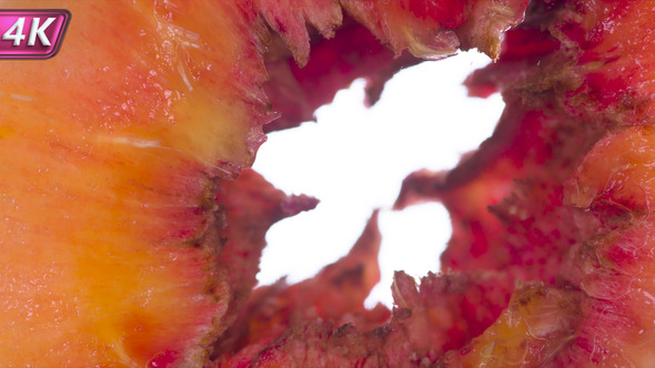 Squeeze The Pulp Of Juicy Peach alt