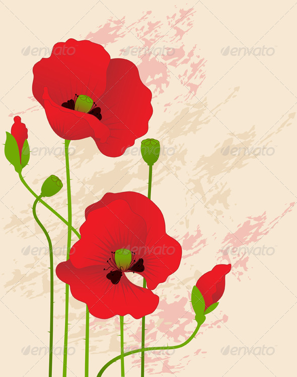 Floral Background with Red Poppies - Flowers & Plants Nature