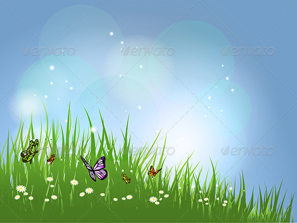 Nature Background - Nature Conceptual