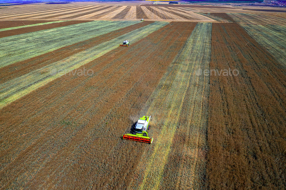 Harvesting time - Stock Photo - Images