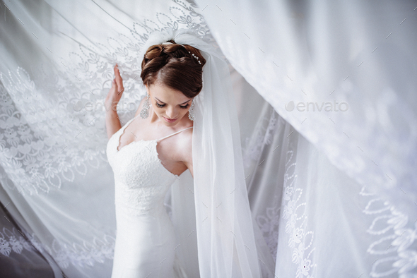 beautiful young bride - Stock Photo - Images