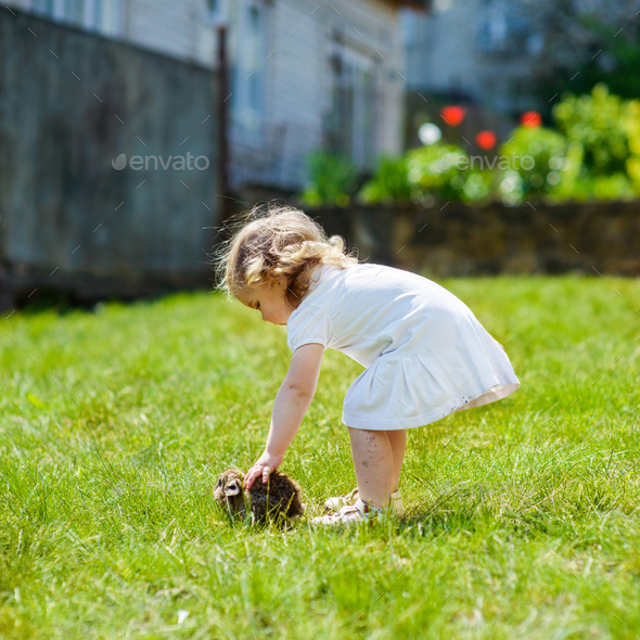 child with a rabbit - Stock Photo - Images