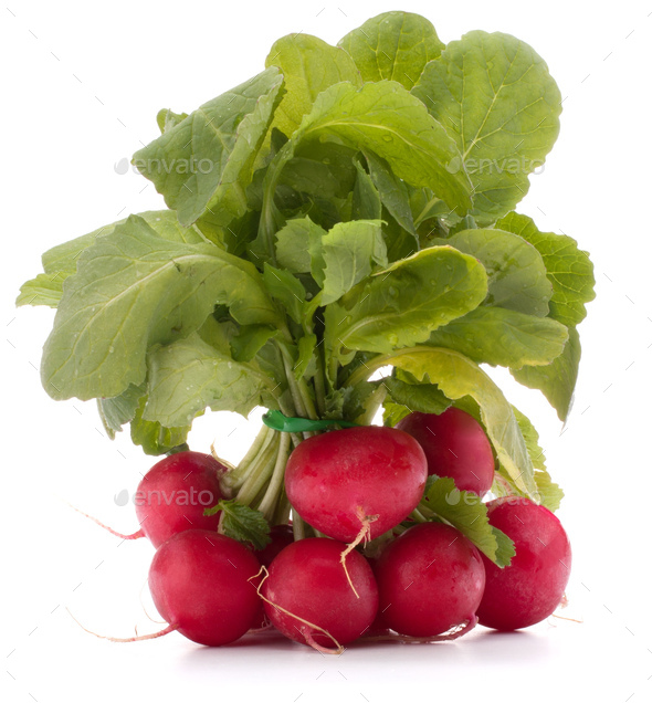 Small garden radish with leaves - Stock Photo - Images