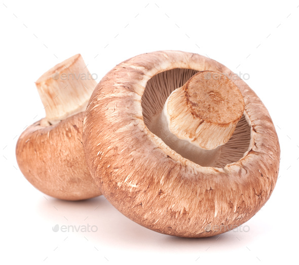 Brown champignon mushroom - Stock Photo - Images