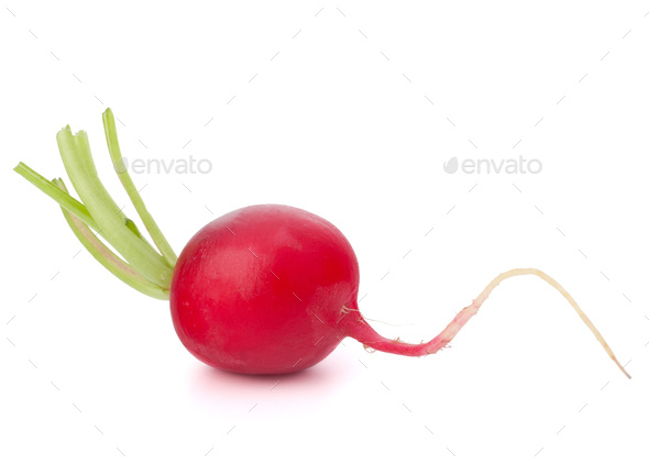 Small garden radish - Stock Photo - Images
