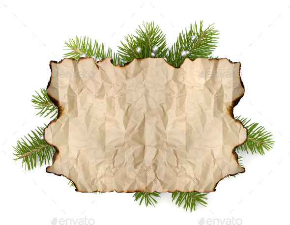 Old Parchment Paper With Copy Space On Christmas Tree Branch