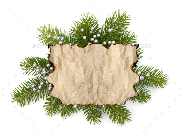 Old parchment paper with copy space on Christmas tree branch