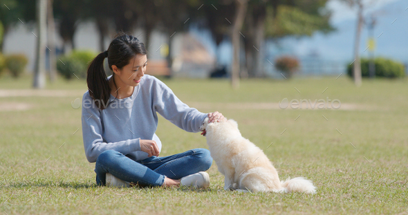 Woman play with her dog at outdoor park - Stock Photo - Images