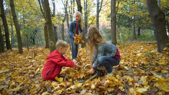 Young children play with yellow leaves in the autumn Park. children throw leaves.