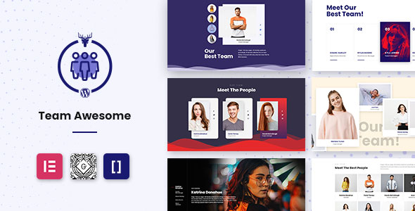 Team Awesome Pro – Team Member Showcase WordPress Plugin